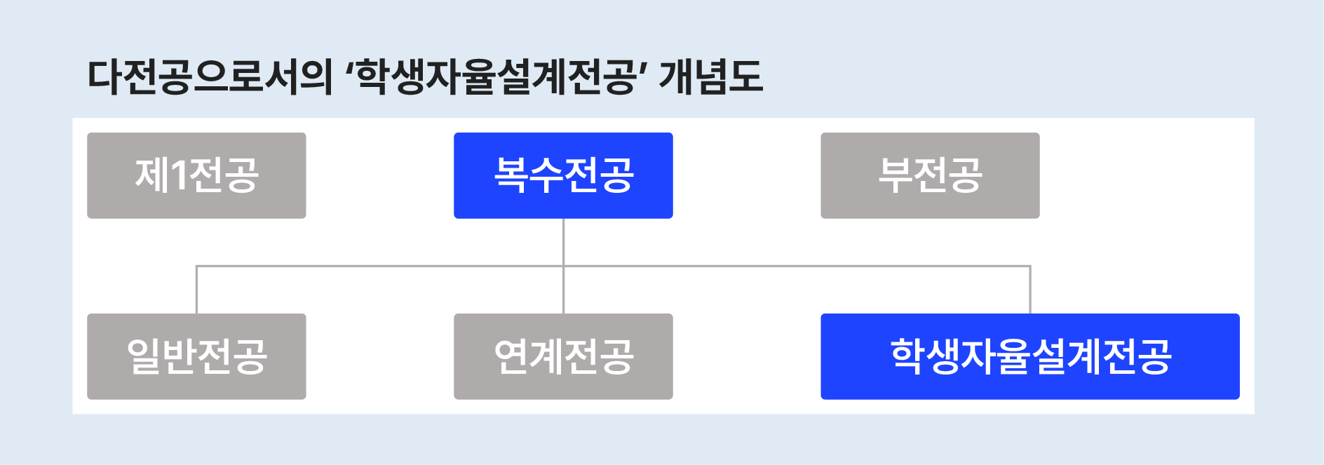 다전공으로서의 '학생자율설계전공' 개념도. 제1전공, 복수전공(일반전공, 연계전공, 학생자율설계전공), 부전공